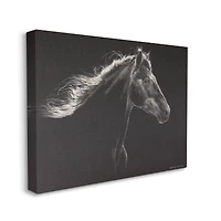 Stupell Industries Strong Equestrian Portrait Minimal Black Horse Canvas Wall Art