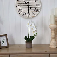 19" White Orchid in Ceramic Pot