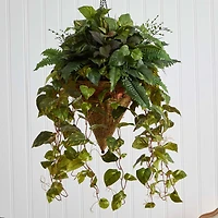 3ft. Mixed Green Vines in Cone Hanging Basket