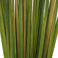 39" Dried Plant Sticks Natural Foliage With Slender Stems