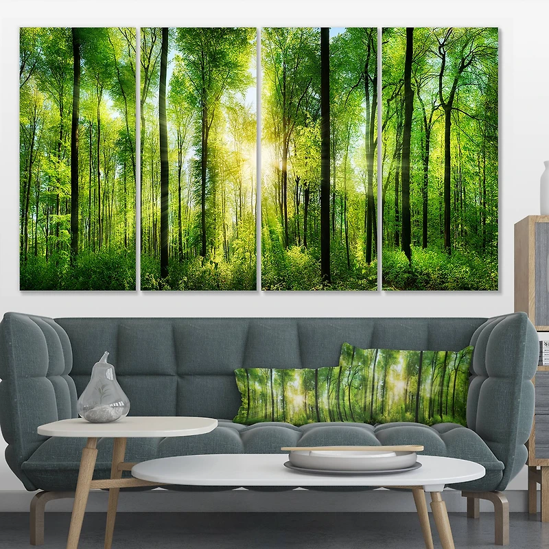 Designart - Forest with Rays of Sun Panorama
