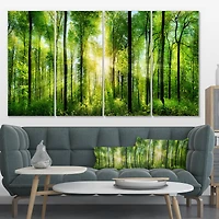 Designart - Forest with Rays of Sun Panorama