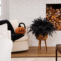 19in. Artificial Halloween Black Boston Fern - Set of 6