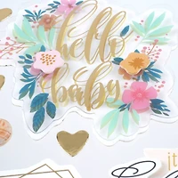 12 Pack: Pink Hello Baby Stickers by Recollections™