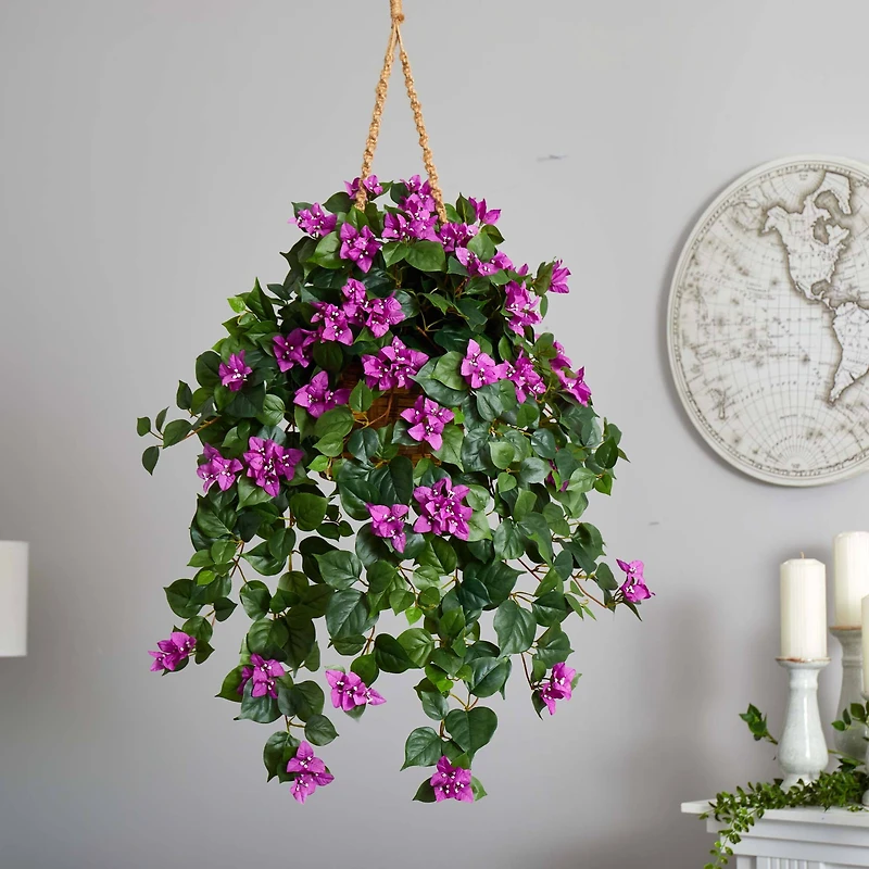 2.5ft. Bougainvillea in Woven Planter