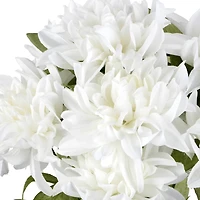 18" Dahlia Bush by Ashland