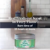 Scentsicles Candles White Winter Fir, O Christmas Tree and Snowberry Pine, 3 pack