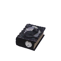 6" LED Cat Book Tabletop Décor by Ashland®