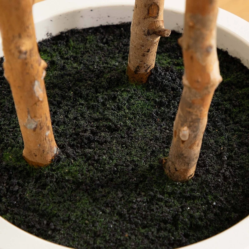 5ft. Fiddle Leaf Tree in Decorative White Planter