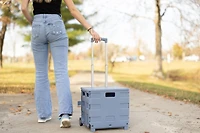 Everything Mary Blue Plastic Collapsible Cart Organizer