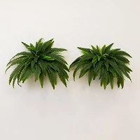 4ft. UV-Resistant Artificial Boston Ferns, 2ct.