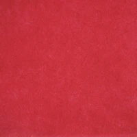 24 Packs: 12 ct. (288 total) Tissue Paper by Celebrate It