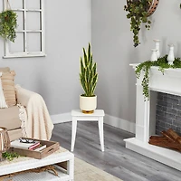 3ft. Snake Plant in Cream Planter with Gold Base