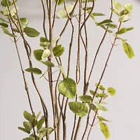 5ft. Potted Artificial Green Smoke Tree