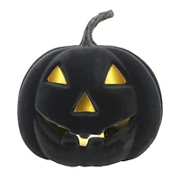 Flocked Lit Tabletop Jack-O'-Lantern by Ashland