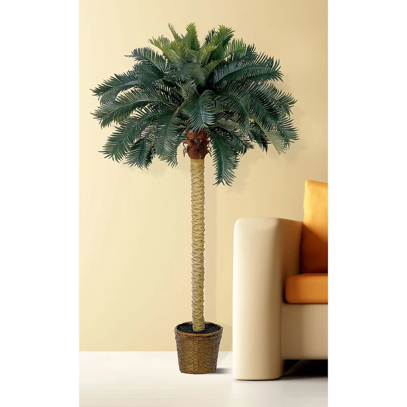 6ft. Sago Palm Tree in Wicker Basket Pot