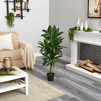 4ft. Dracaena Silk Plant 