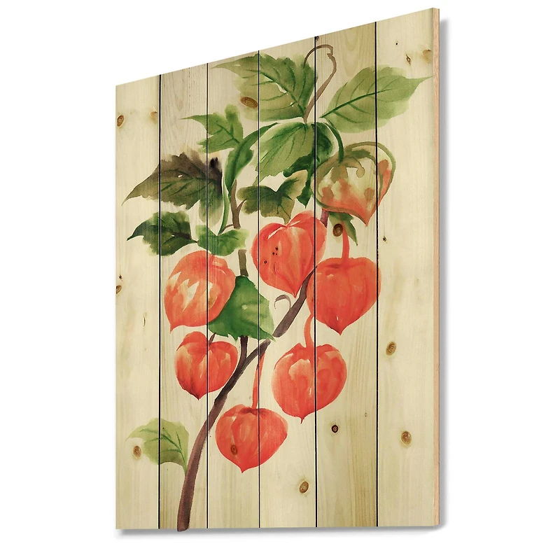 Designart - A Branch of Red Physalis