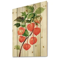 Designart - A Branch of Red Physalis