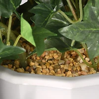 3.5ft. Purple Morning Glory Hanging Plant