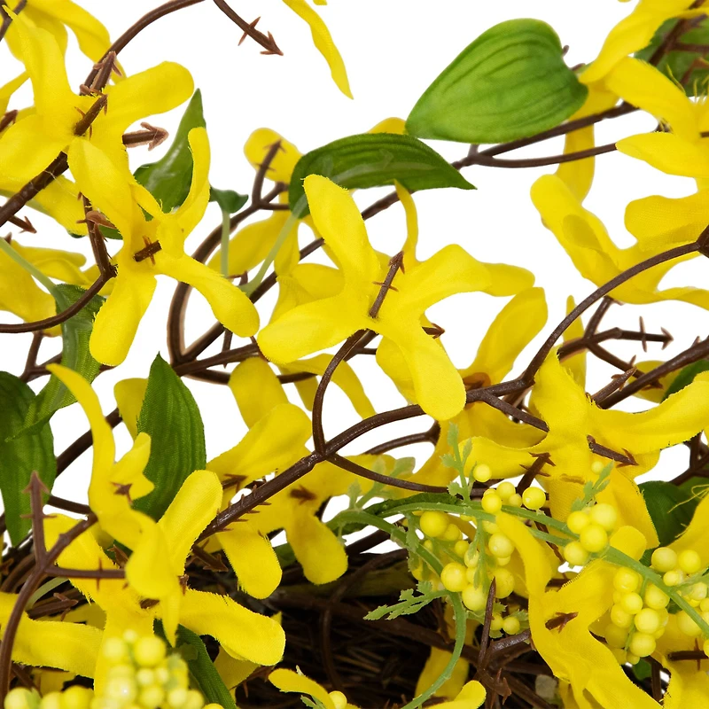24" Yellow Forsythia & Berry Floral Spring Wreath