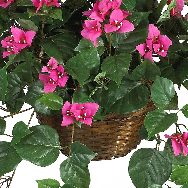 24" Pink Bougainvillea Hanging Basket