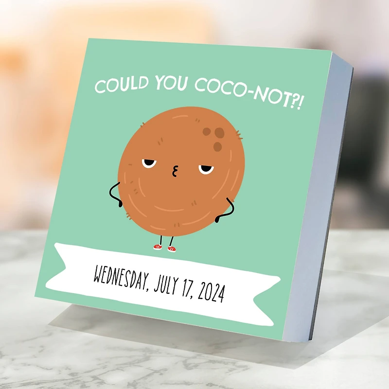 TF Publishing 2024 Puns of Fun Daily Desktop Calendar