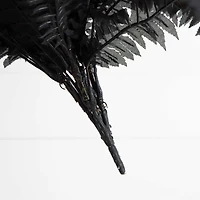 40in. Artificial Halloween Black Boston Fern - Set of 2