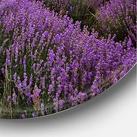 Designart - Lavender Field At Dawn I