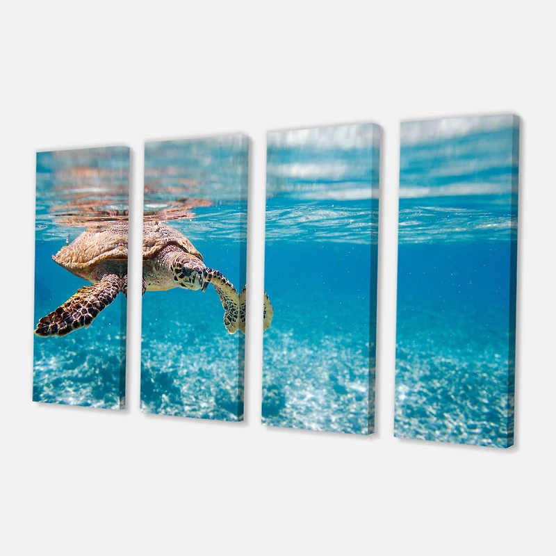 Designart - Large Hawksbill Sea Turtle