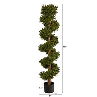 5ft. Potted UV Resistant Spiral Boxwood Topiary Tree