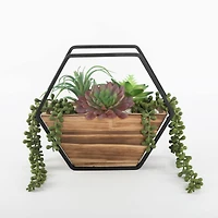 Flora Bunda® 11" Succulent Arrangement in Hexagon Wood & Metal Wall Accent