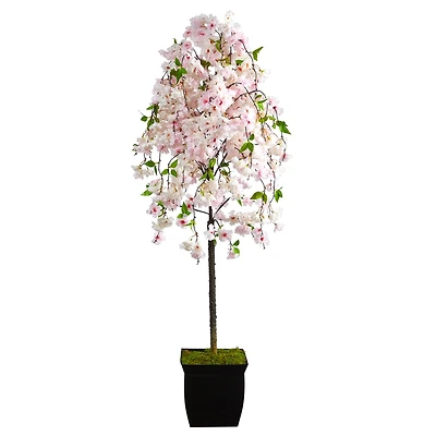 6ft. Cherry Blossom Artificial Tree in Black Metal Planter
