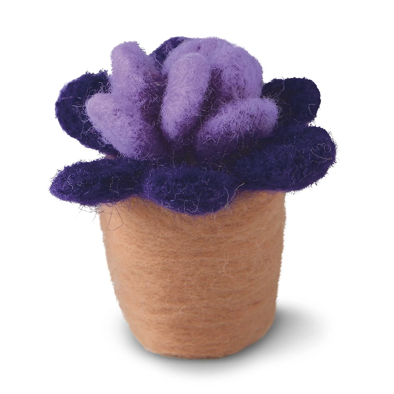 Succulent Felting Kit by Loops & Threads®