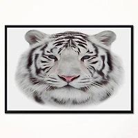 Designart - White Bengal Tiger