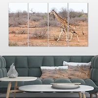Designart - Giraffe Walking through African Forest