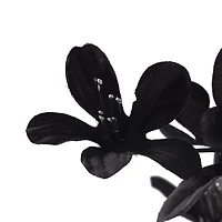 12 Pack: Charcoal Gray Azalea Spray by Ashland®