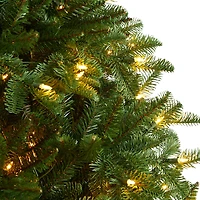 6ft. Pre-Lit South Carolina Spruce Artificial Christmas Tree, Clear Lights