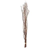12 Pack: Natural Curly Willow by Ashland