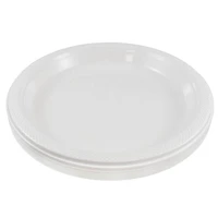 JAM Paper 10.25" Plastic Party Plates