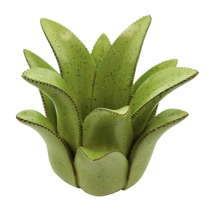 7" Green Aloe Decorative Container by Ashland®