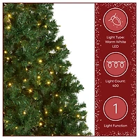 7.5ft. Pre-Lit Linden Spruce Artificial Christmas Tree