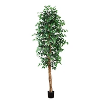 9ft. Potted Ficus Tree