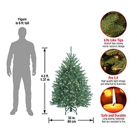 4.5ft. Pre-Lit Dunhill® Blue Fir Artificial Christmas Tree, Clear Lights
