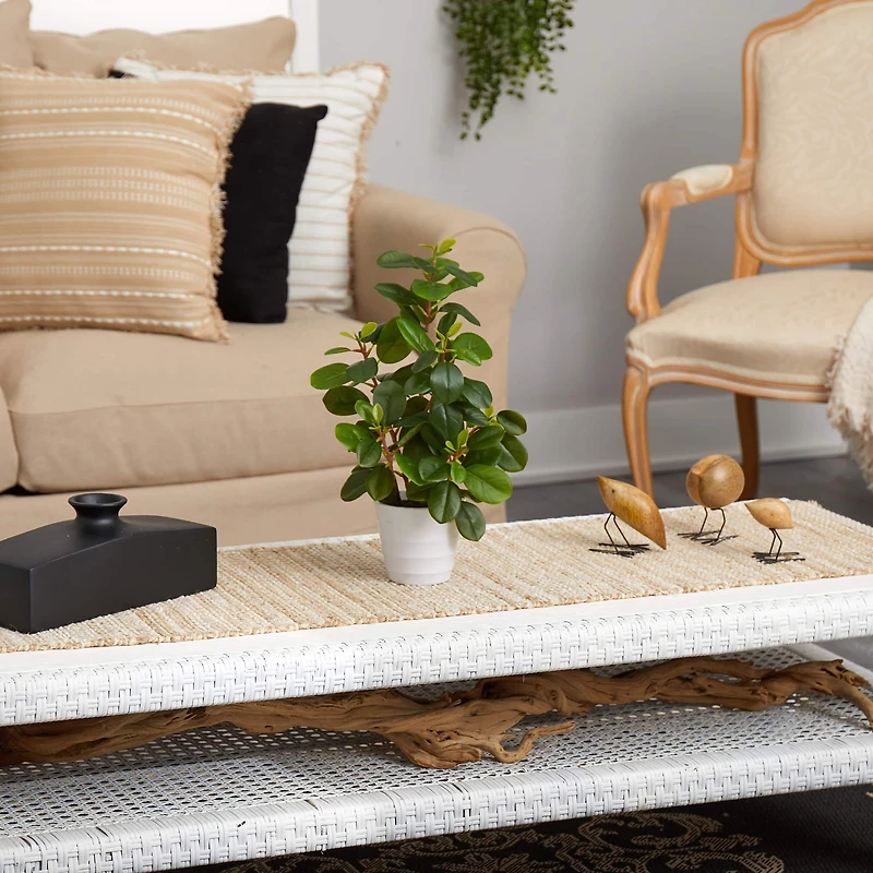 16" Peperomia Plant in Decorative Planter