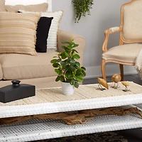 16" Peperomia Plant in Decorative Planter