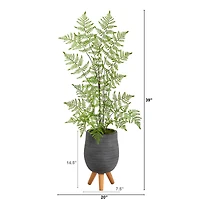 3ft. Ruffle Fern Tree in Gray Planter with Stand