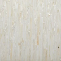 19" Beige Mussel Shells & Wood Contemporary Accent Table