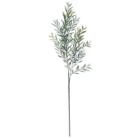 28.5" Green Acacia Leaf Stem by Ashland®