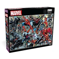 Assorted Art & Photo 2,000 Piece Puzzle
